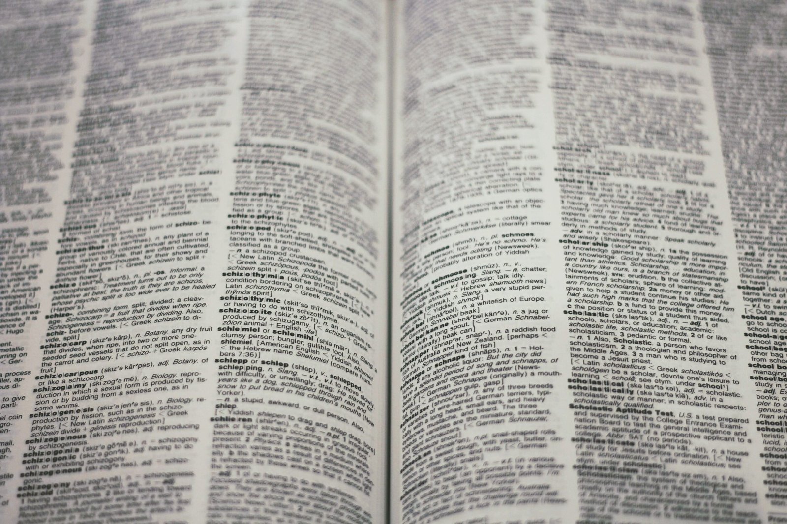 translation industry machine translation