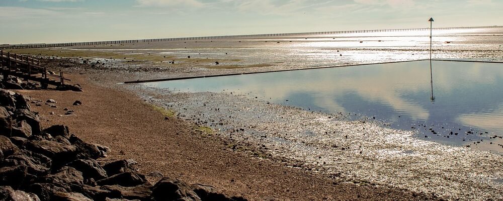 translation services in Southend-on-Sea